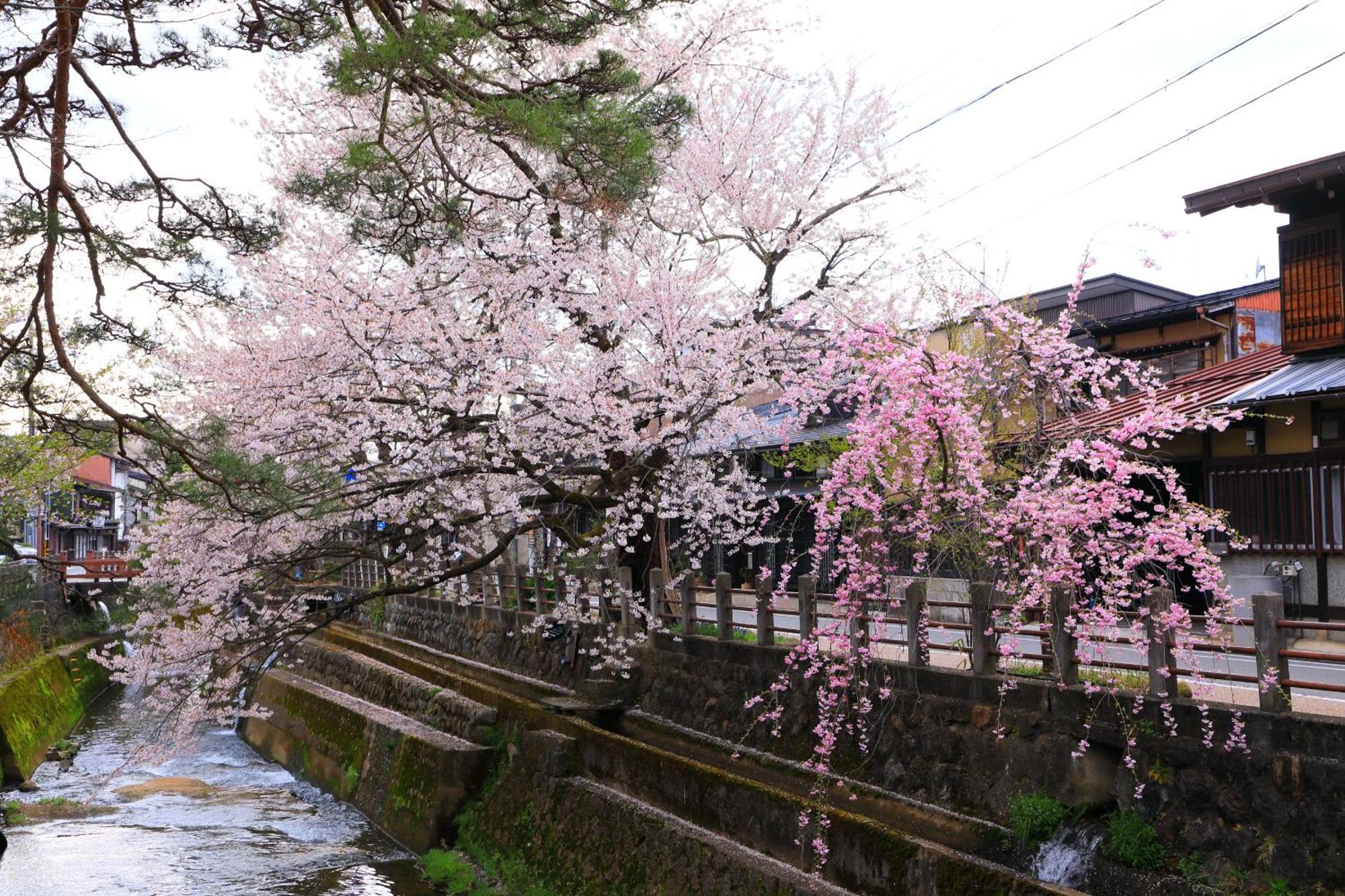 Ferienwohnung 高山ステイ 柊 Exterior foto